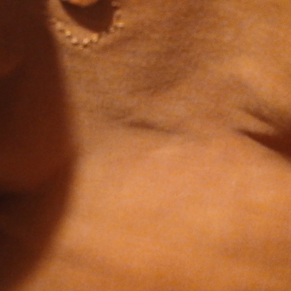 Louis Vuitton Brown and Tan Monogram Bag - Picture 14 of 16